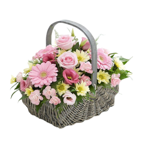 New Baby Girl Basket