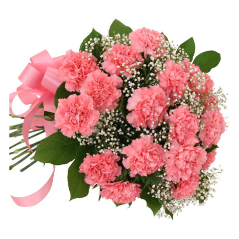 18 Pink Carnations Bouquet